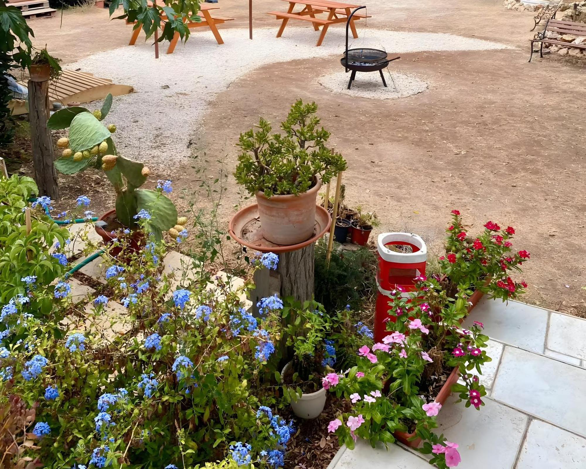 Chill Garden Experience B&B San Pietro in Bevagna Bagian luar foto
